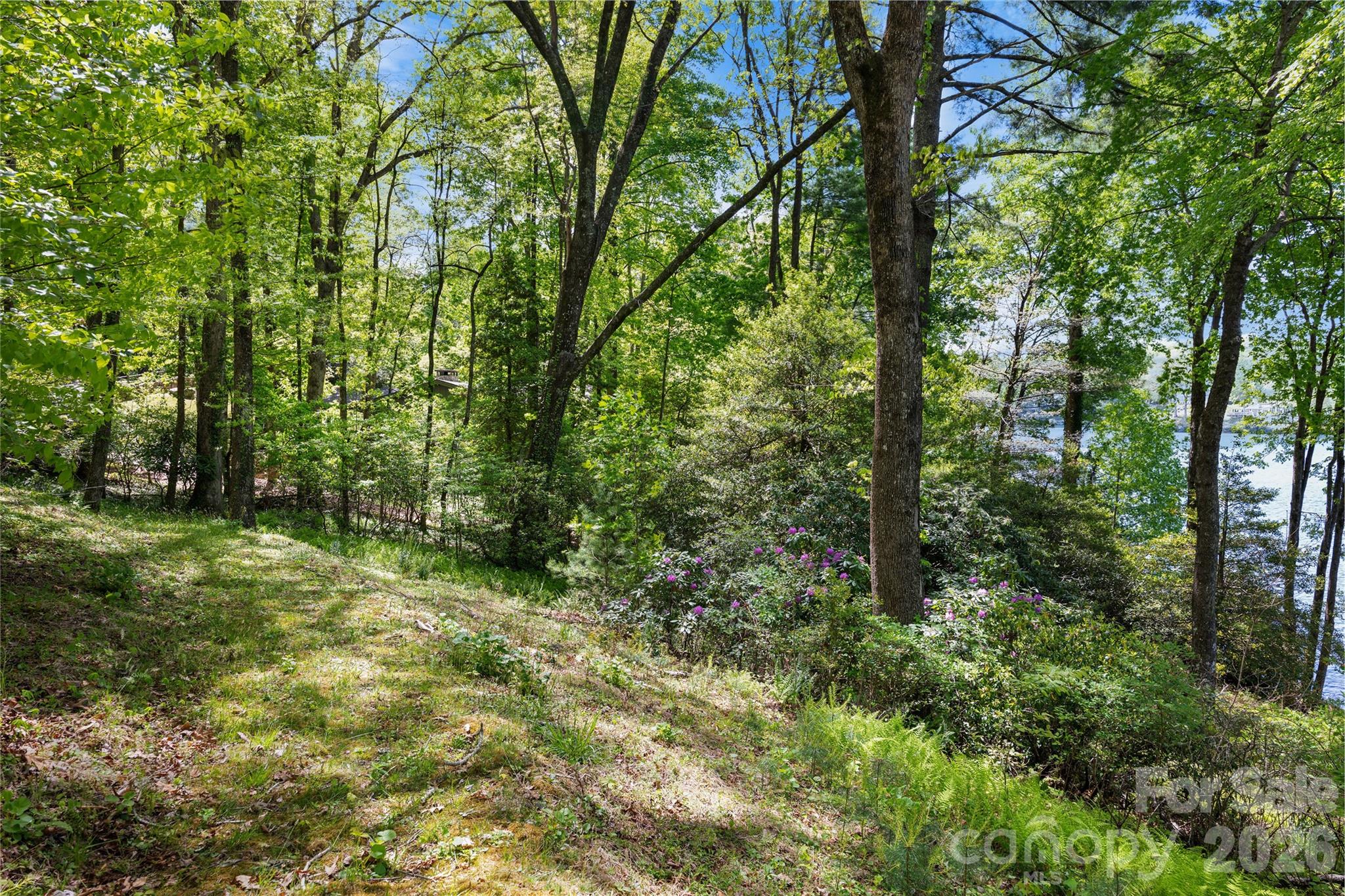 Lake Toxaway Estates - Land