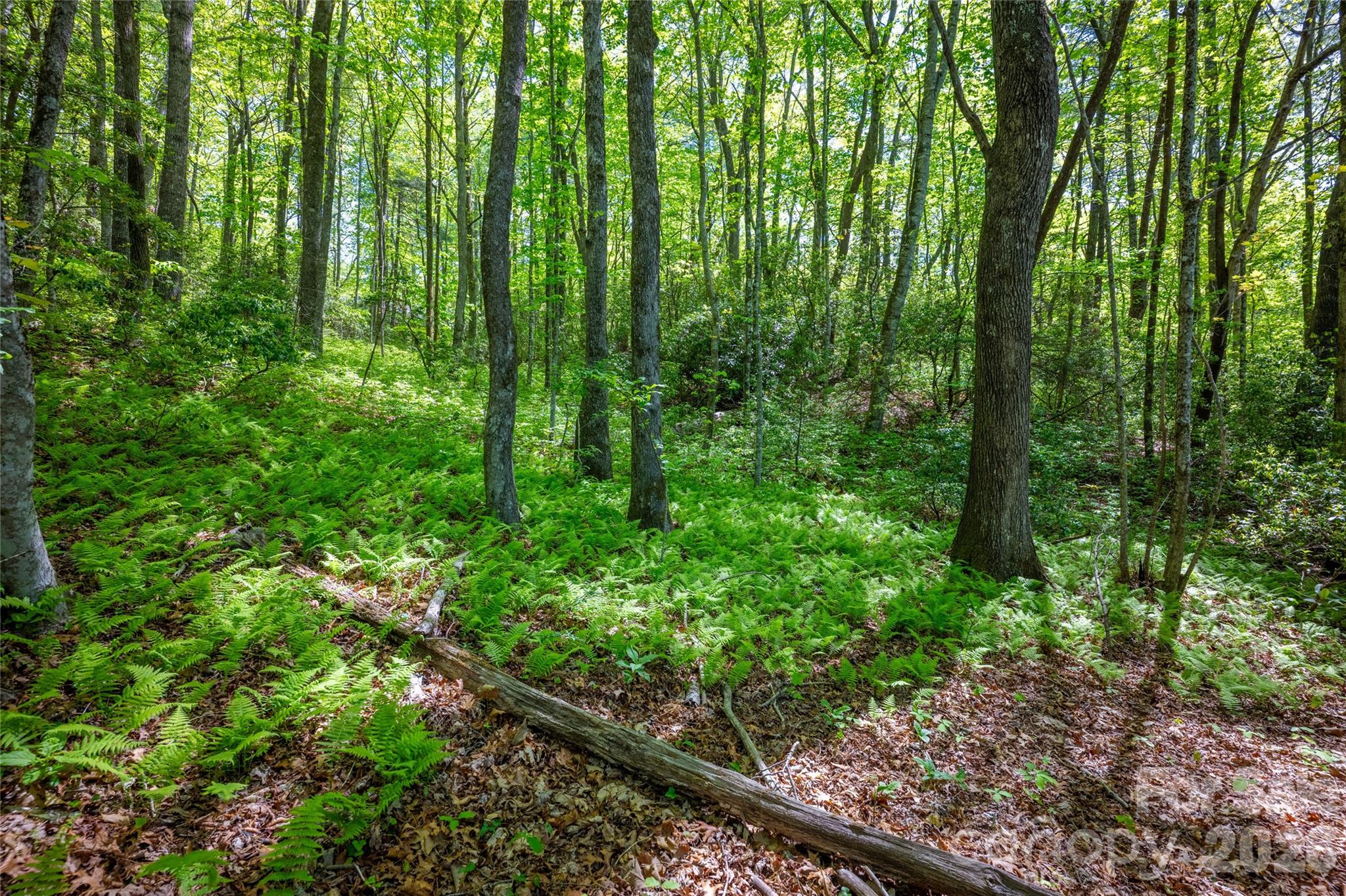 Lake Toxaway Estates - Land