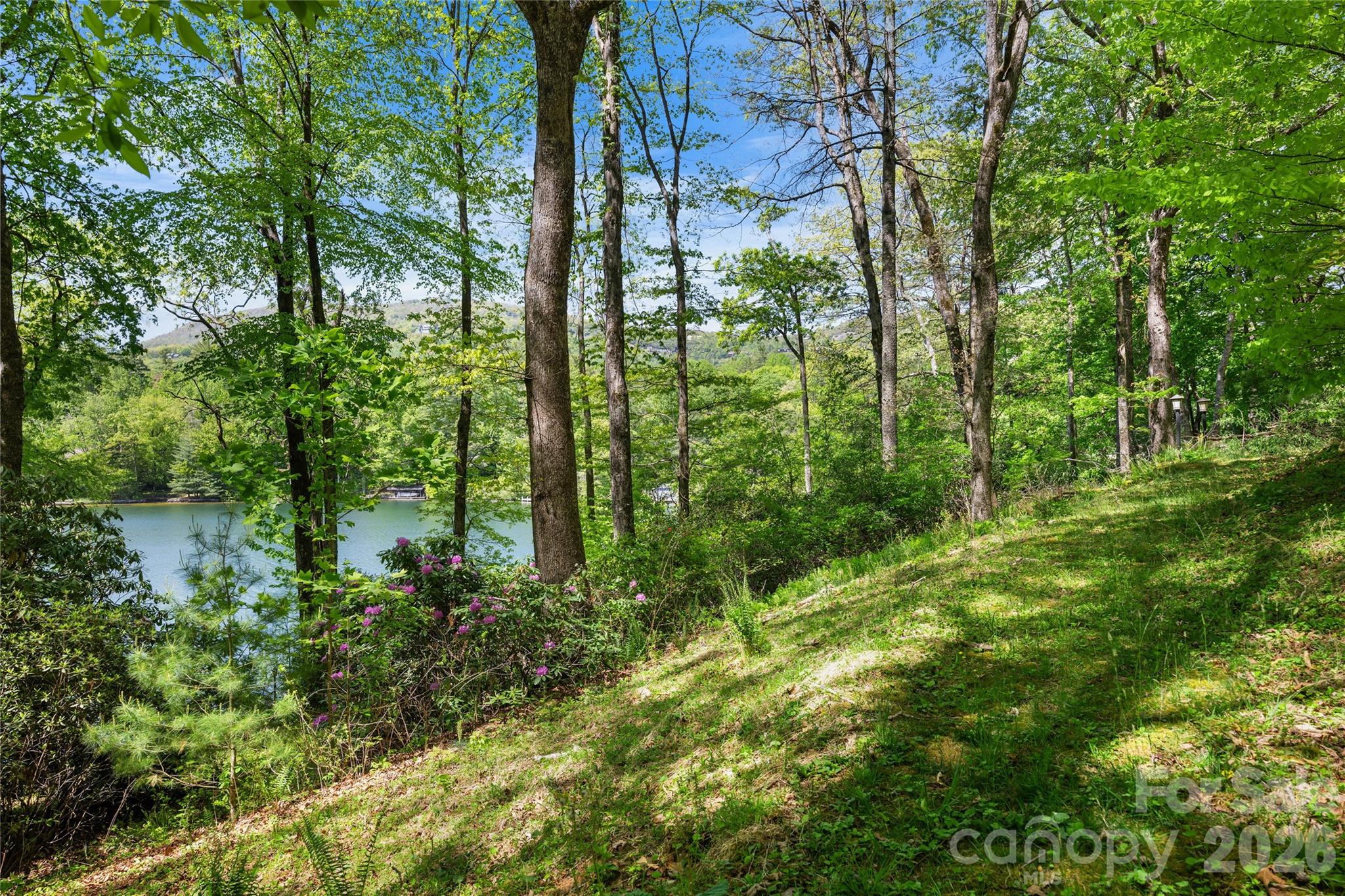 Lake Toxaway Estates - Land