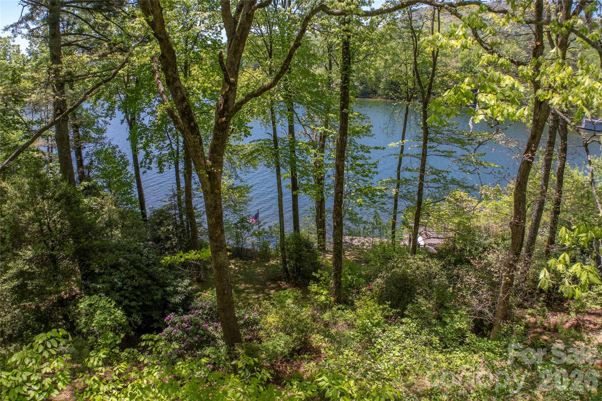 Lake Toxaway Estates - Land