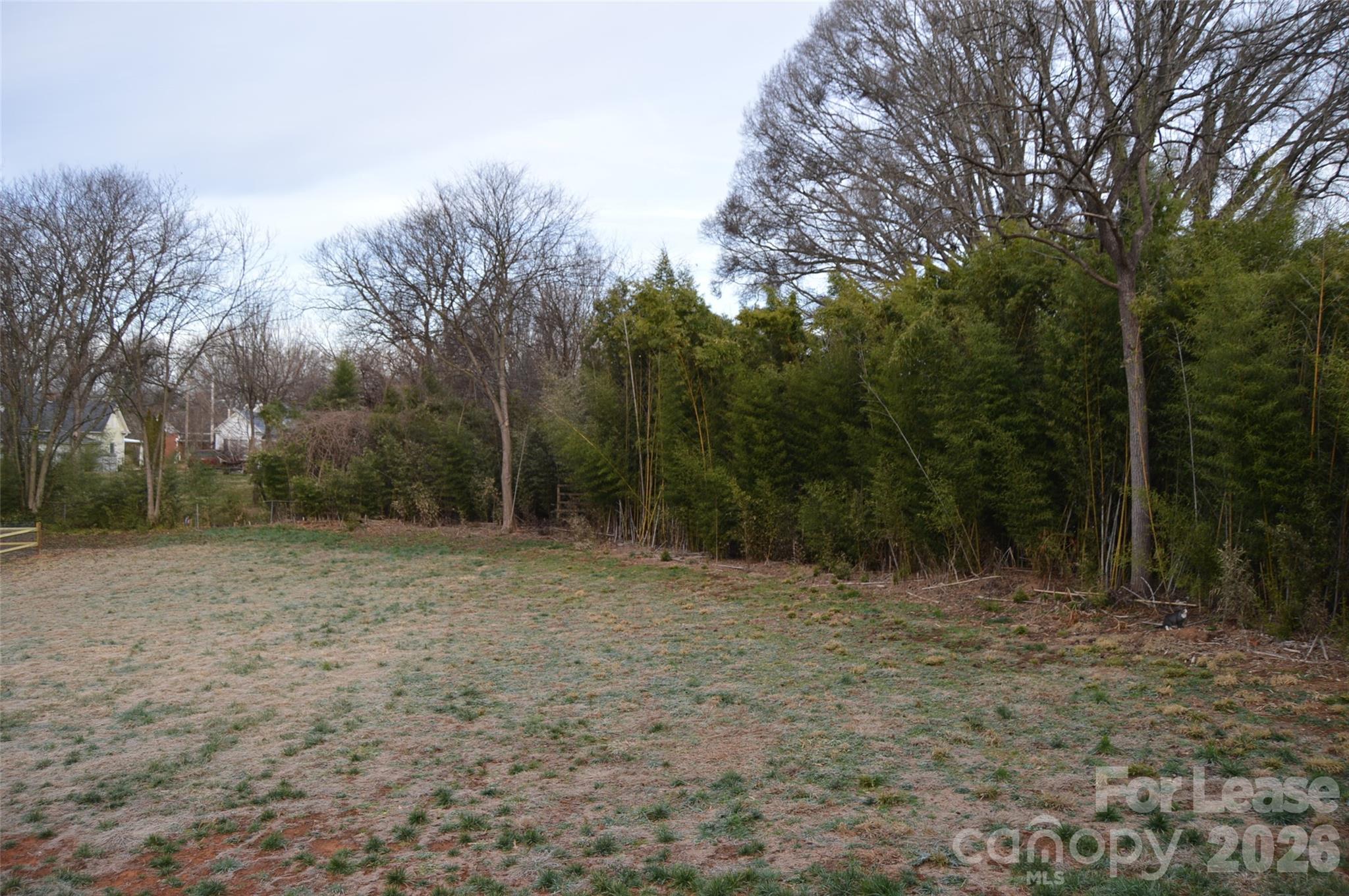 None - Residential Lease