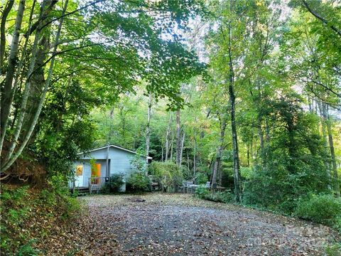 A home in Pisgah Forest