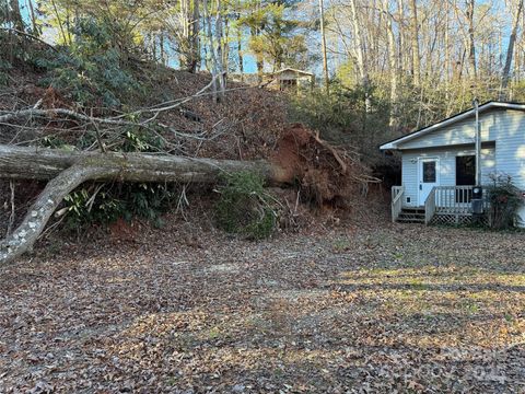 A home in Pisgah Forest