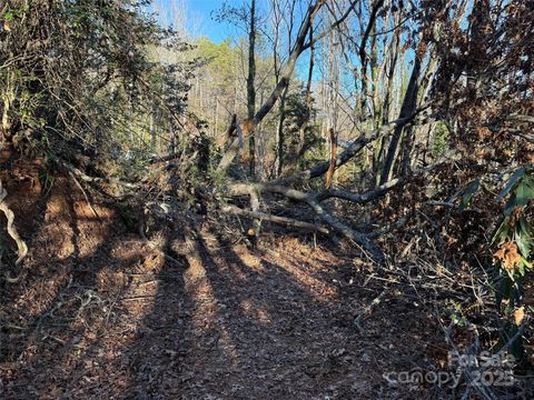 A home in Pisgah Forest