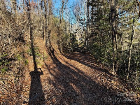 A home in Pisgah Forest