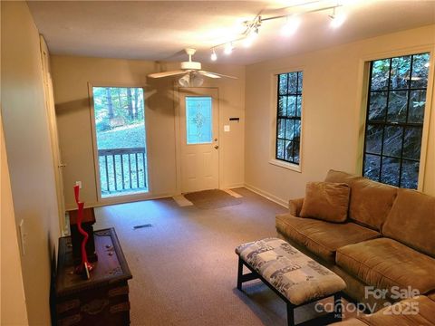 A home in Pisgah Forest