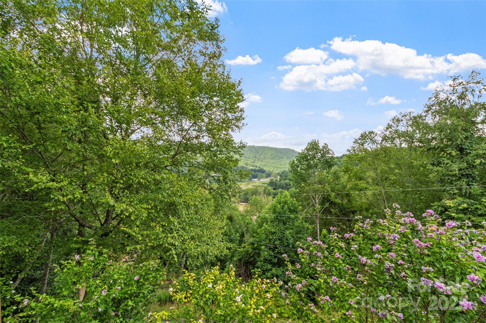 272 Appaloosa Trail