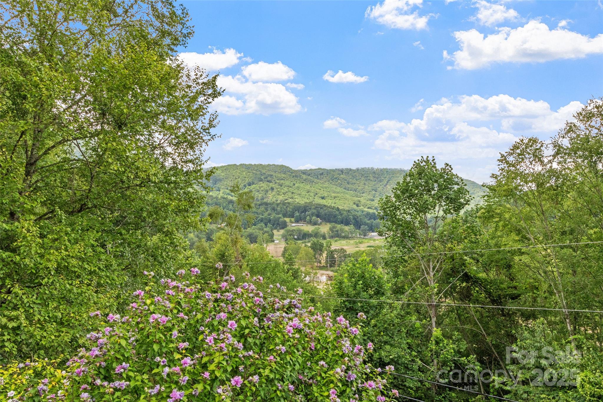 272 Appaloosa Trail