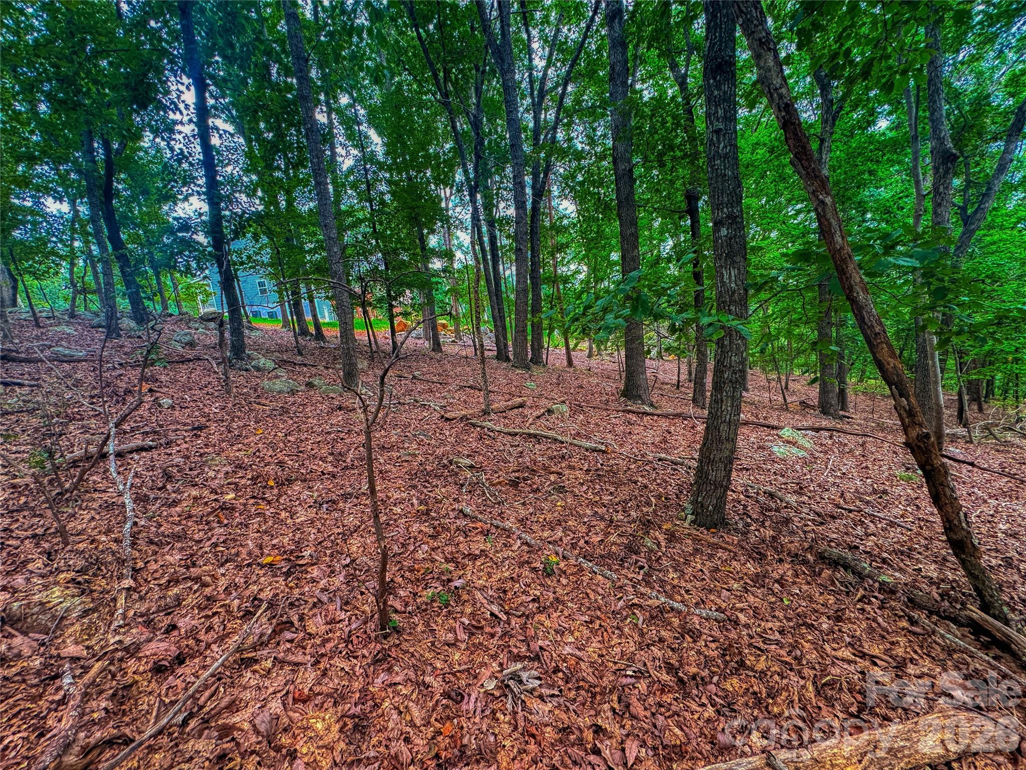 The Springs At High Rock - Land