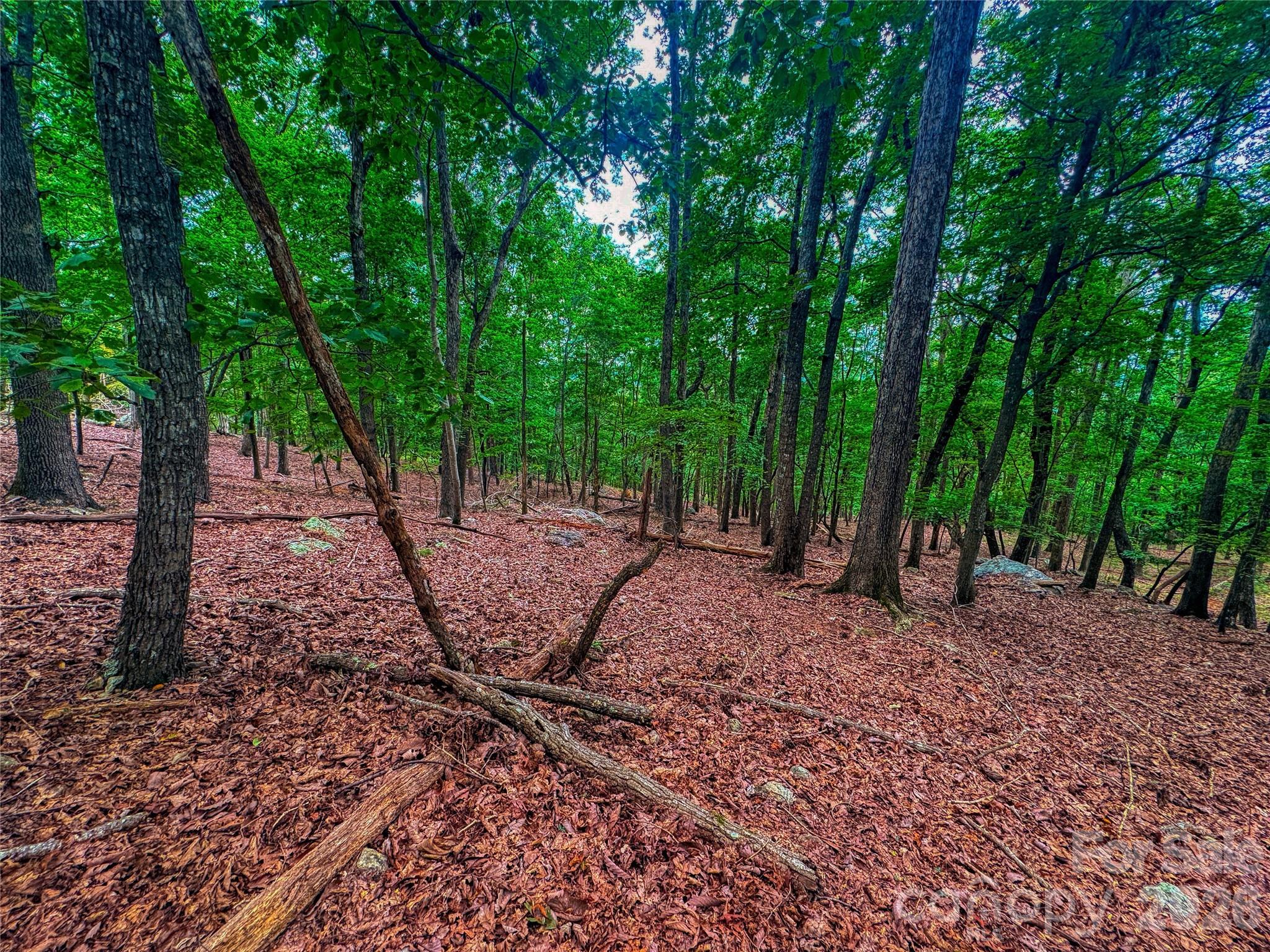 The Springs At High Rock - Land