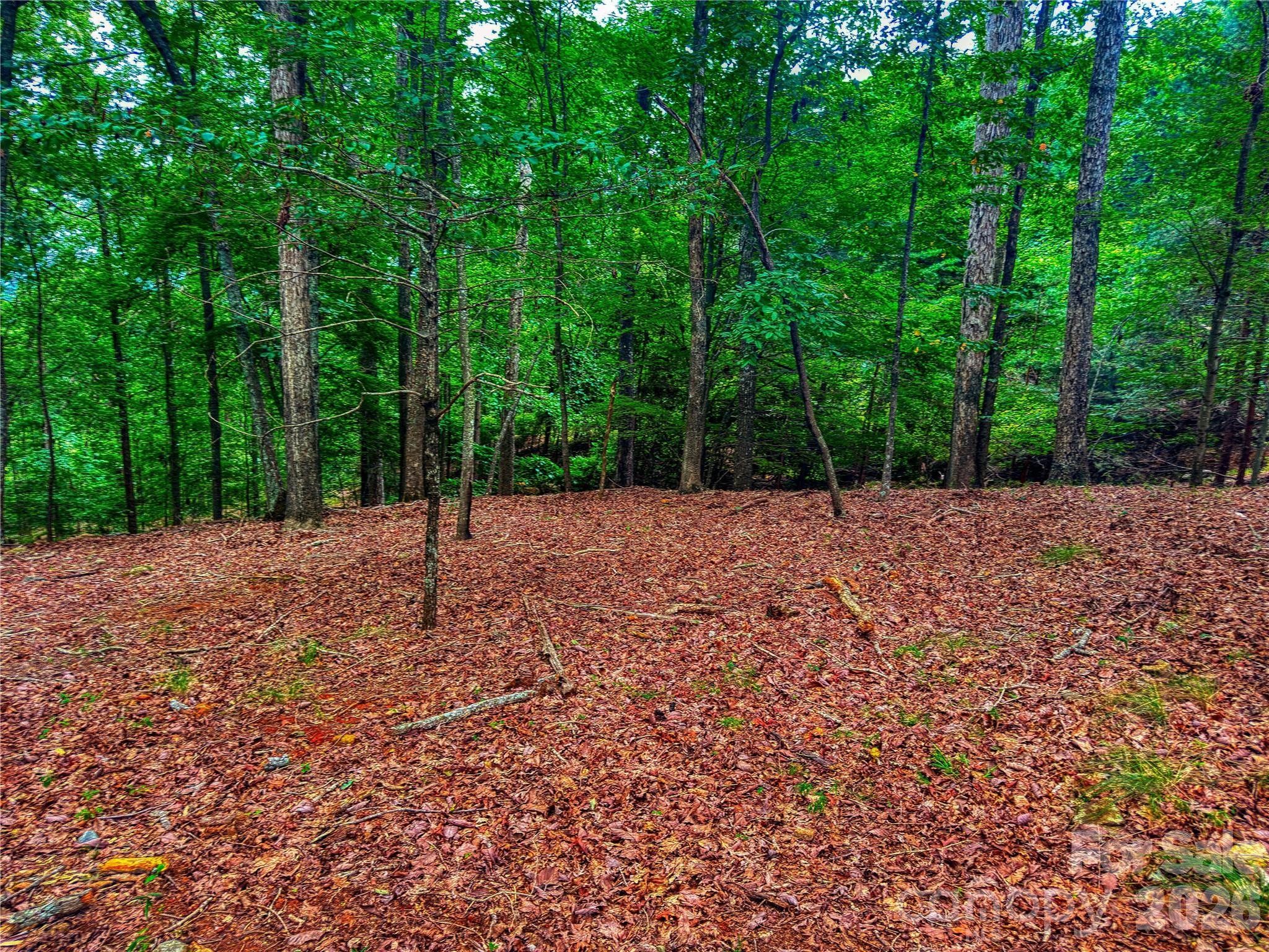The Springs At High Rock - Land