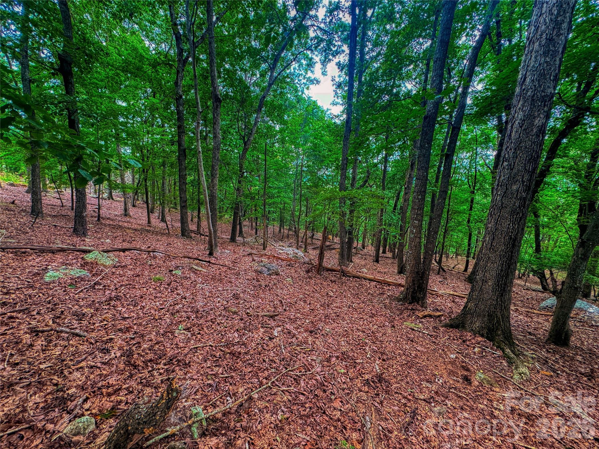 The Springs At High Rock - Land