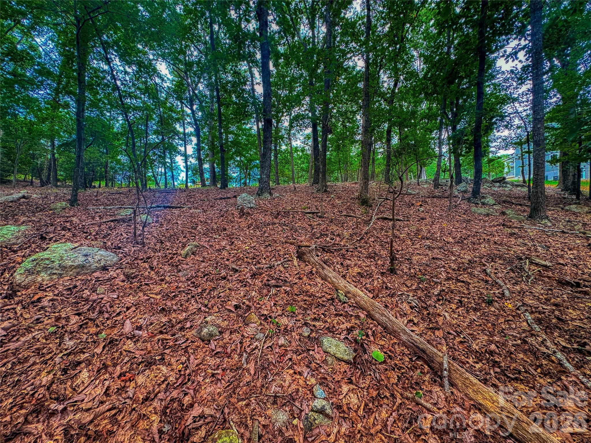 The Springs At High Rock - Land