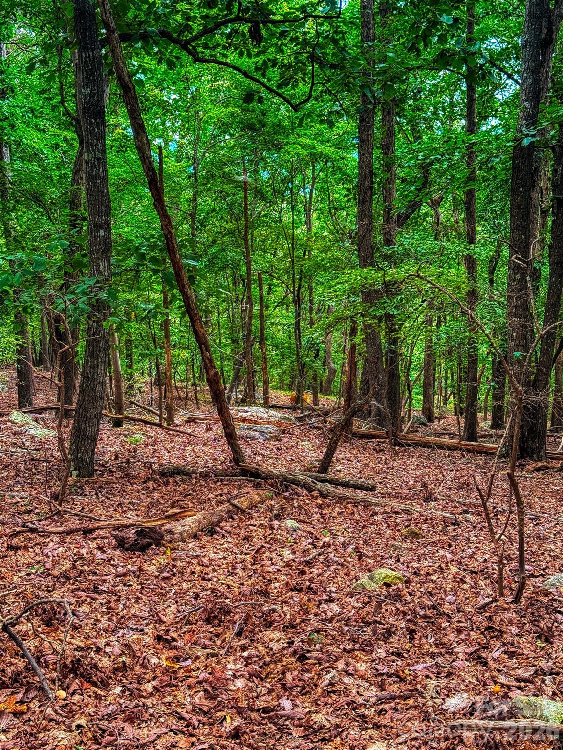 The Springs At High Rock - Land