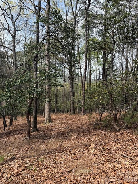 1553 Country View Way Arden NC 28704