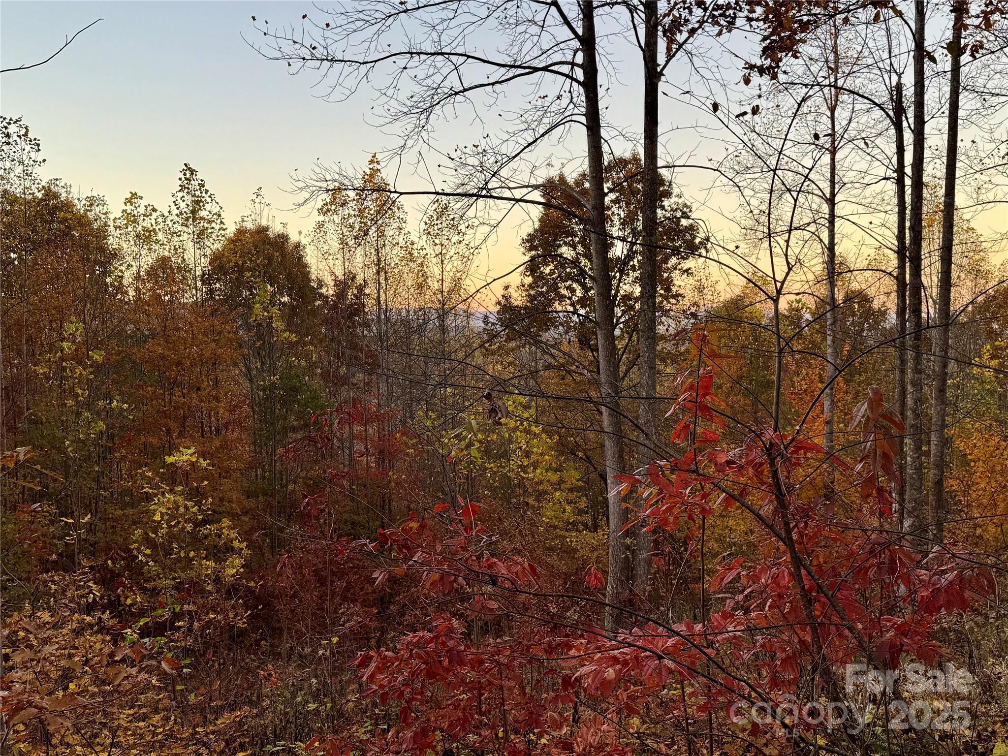 19 Meditation Ridge Extension