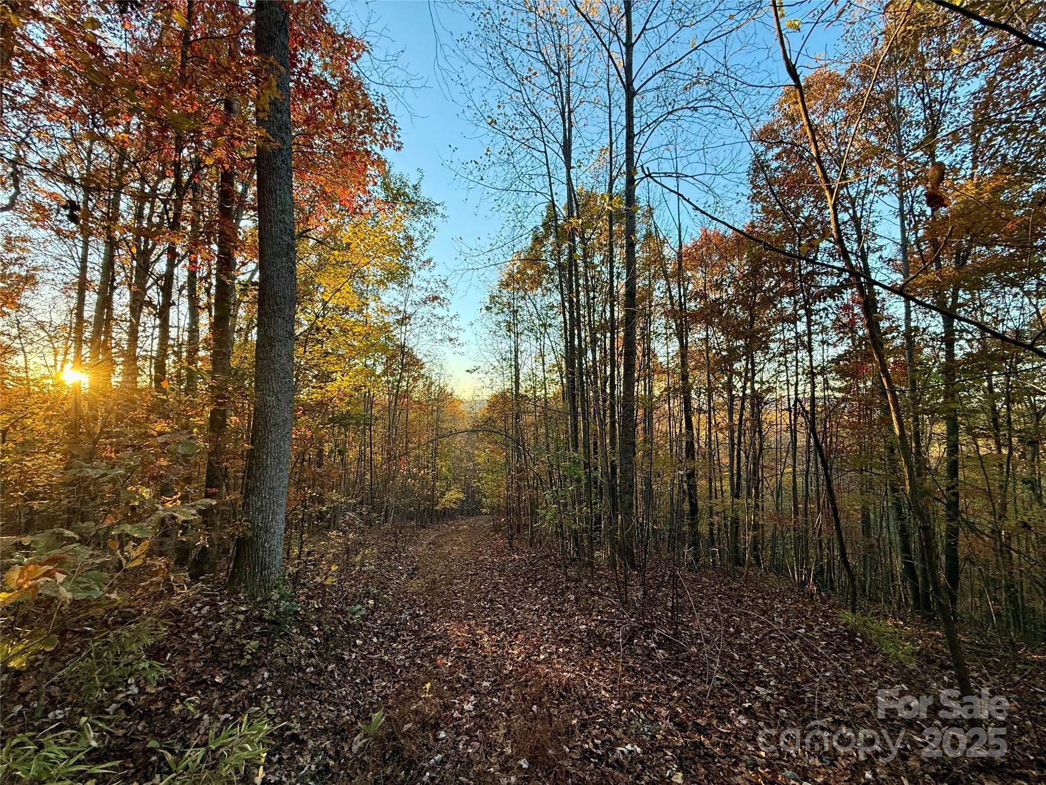 19 Meditation Ridge Extension