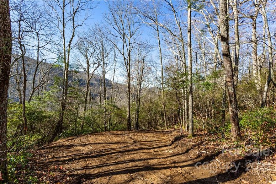 Within a mountain community near Cherokee, the Blue Ridge Parkway, and The Great Smoky Mountains National Park, lies this expansive 4.8-acre private lot. Positioned in the Plott Balsams within a gated section of the Black Rock Creek Community, this lot boasts sweeping mountain views and solitude. With a gentle slope at the top, this lot provides an easily accessible building site. Black Rock Creek offers proximity to Cherokee and Maggie Valley while bordering conservation land, featuring multiple hiking trails and outdoor adventures. An adjacent 2.6-acre lot is also available for those seeking additional space. Come explore this opportunity and embark on creating your dream mountain retreat, where you can immerse yourself in all the wonders the area has to offer.