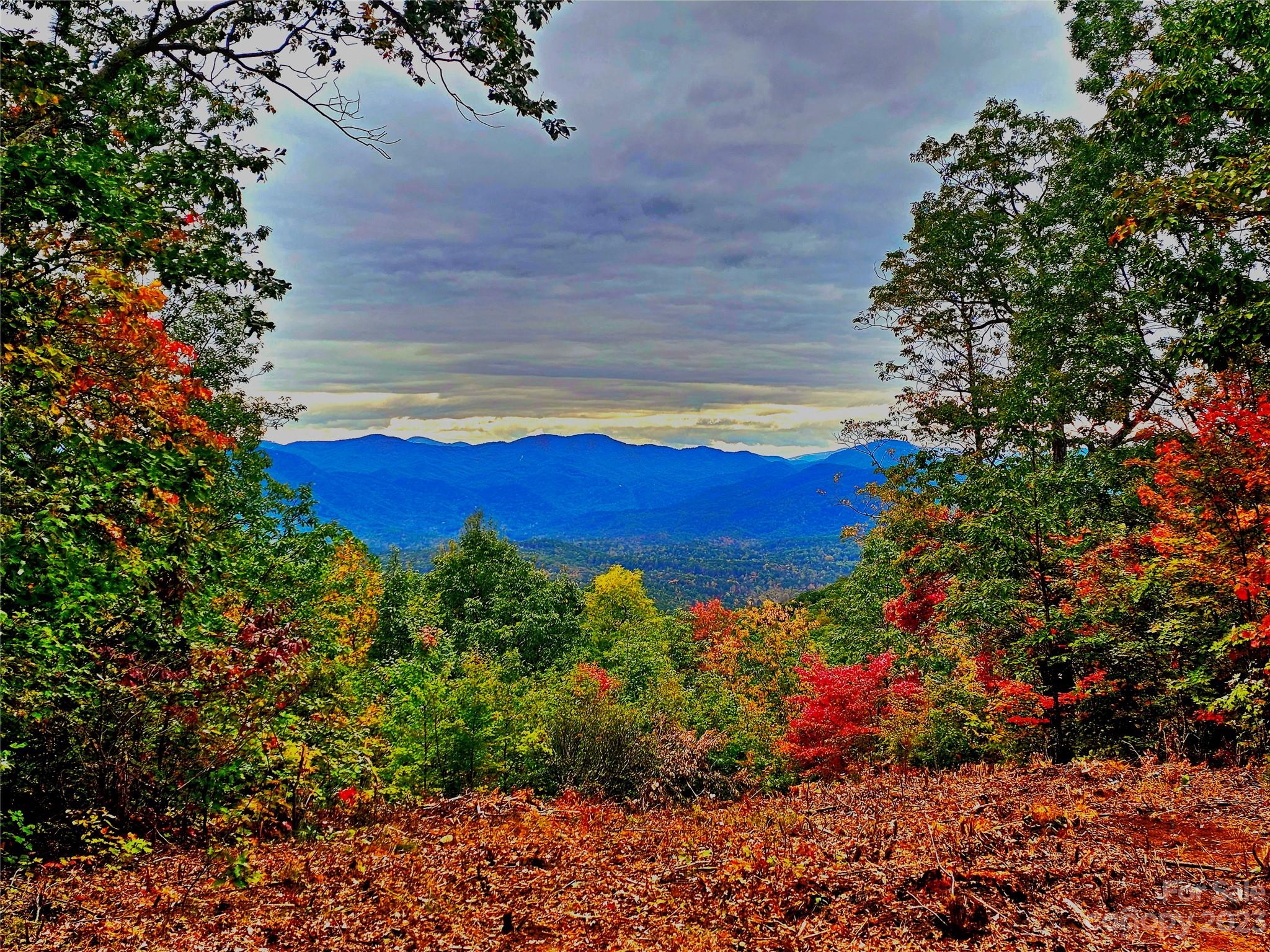 0 N Tranquility Trail 41