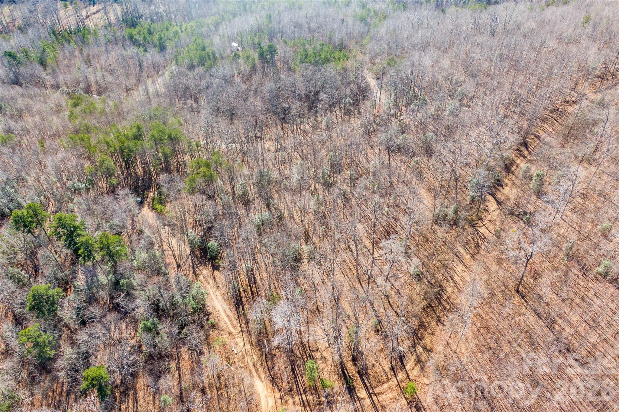 Cherry Mountain Trail - Land