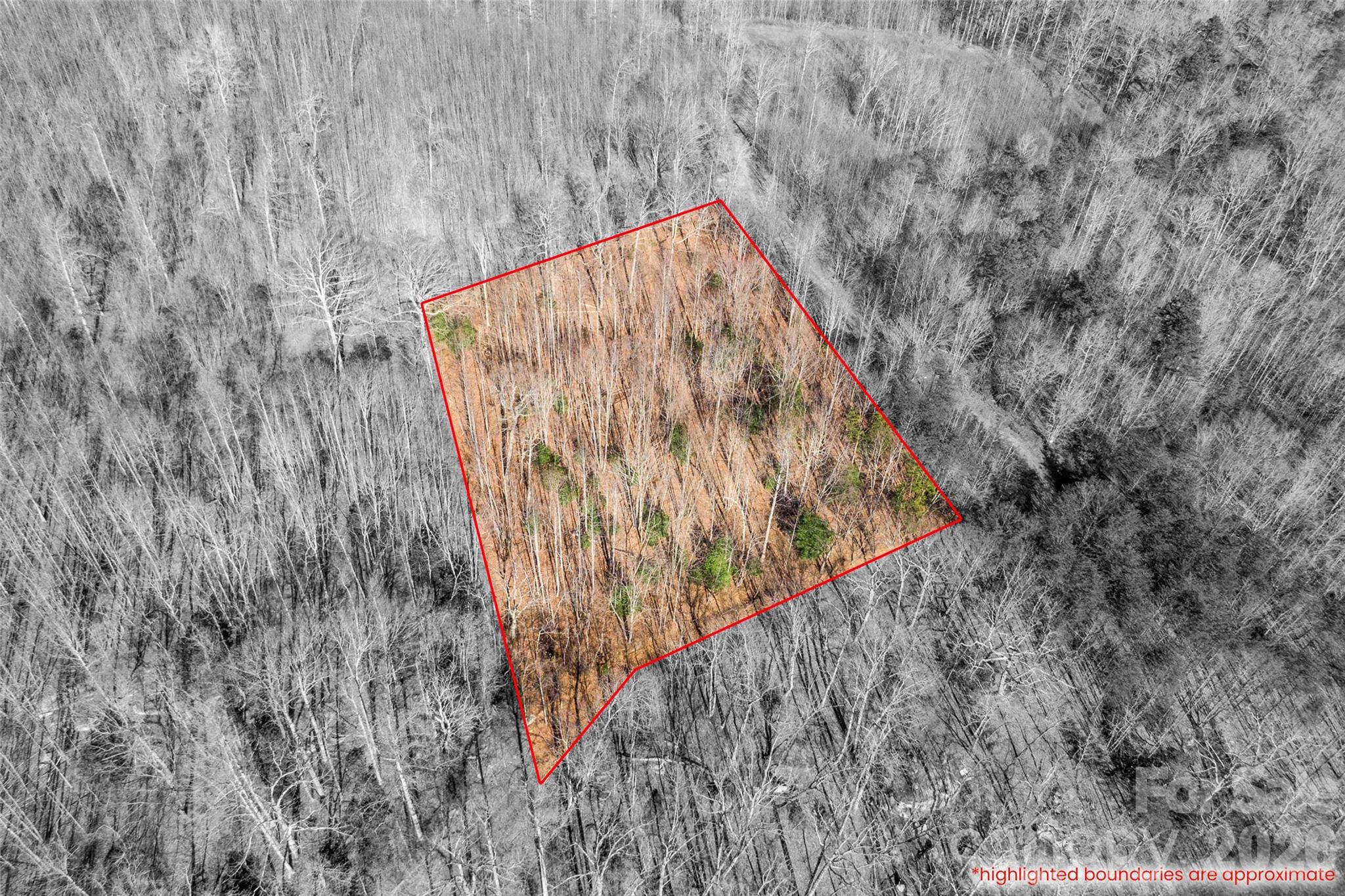 Cherry Mountain Trail - Land