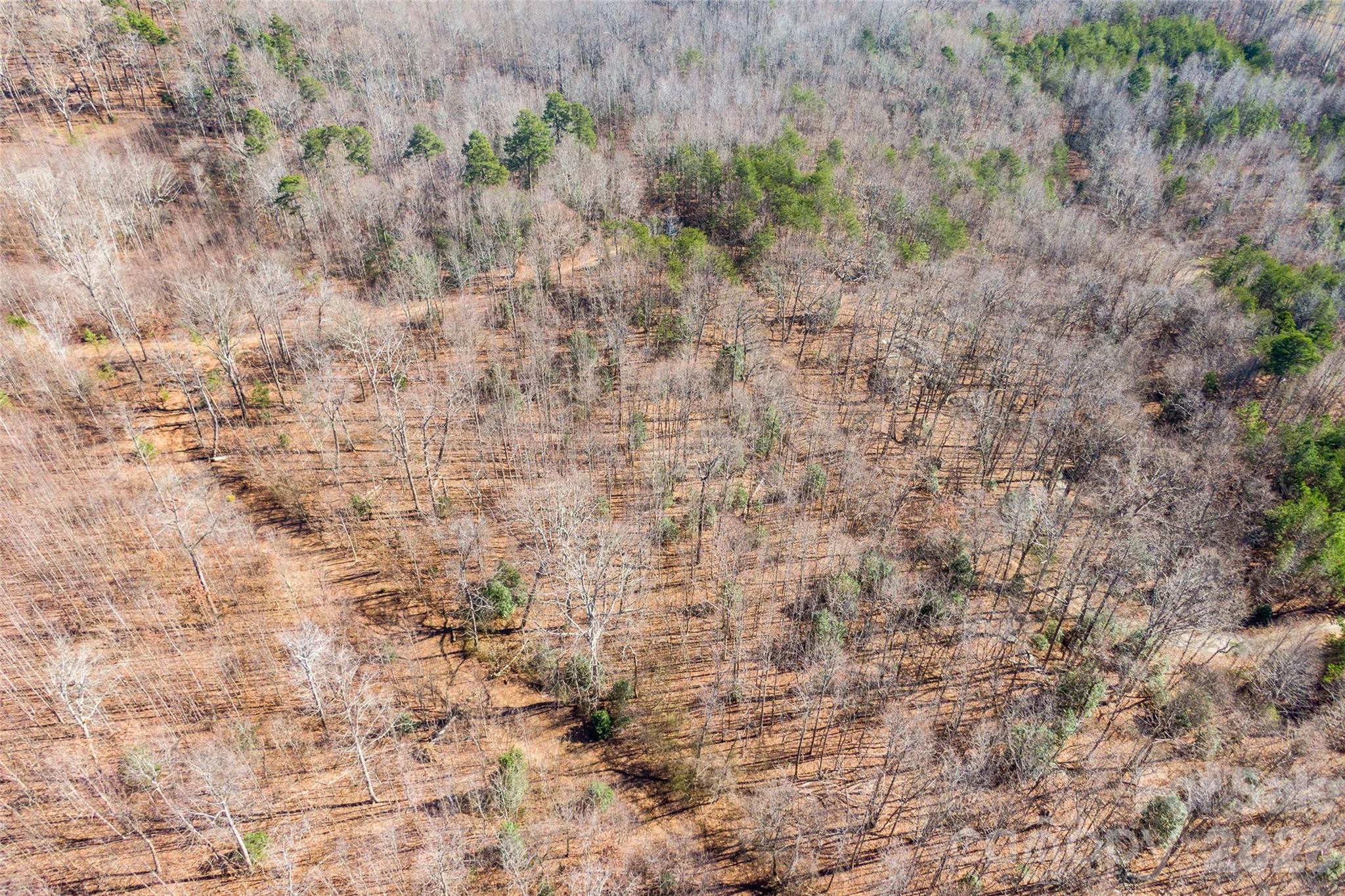 Cherry Mountain Trail - Land