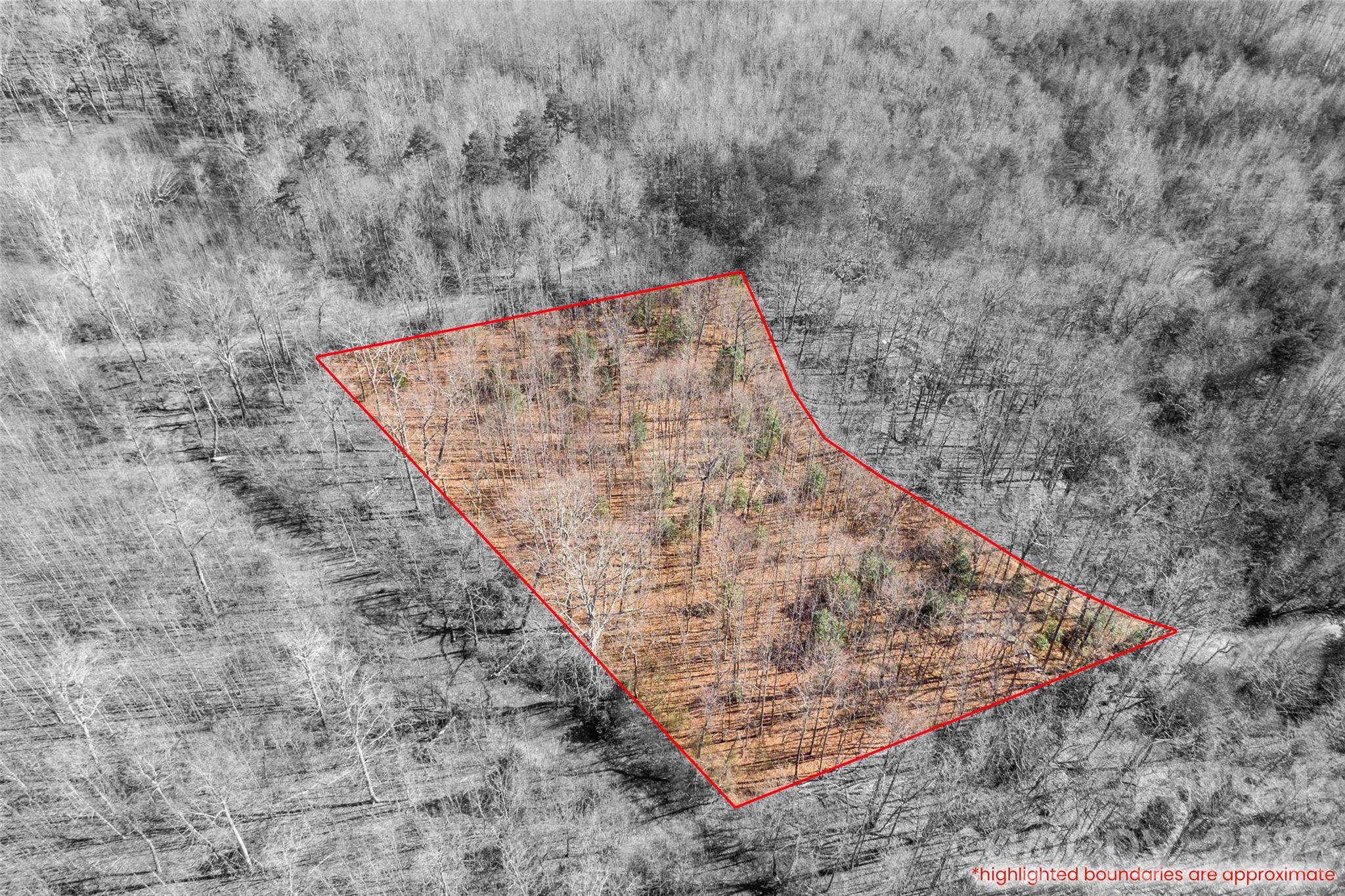 Cherry Mountain Trail - Land