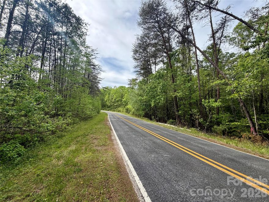 22.25± acres located in a highly sought-after area of Polk County with a portion extending into Rutherford County. This versatile tract offers excellent road frontage and features an existing rough road through the property—ideal for showing and exploring multiple potential homesites. The topography is well-suited for a variety of building options. A beautiful mix of mature hardwoods and pines adds both value and natural appeal. No restrictions, offering flexibility for residential, recreational, or investment use. Rare opportunity to secure acreage in a desirable location with easy access and strong potential. Approximately 10 miles to the Tryon International Equestrian Center, approximately 10 miles to Rutherfordton, and approximately 16 miles to Forest City.