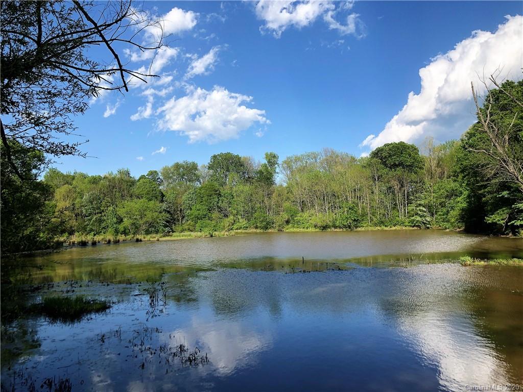 Mooreland Wood - Land