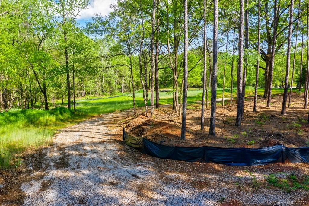 Mooreland Wood - Land