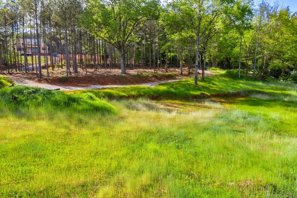 Mooreland Wood - Land