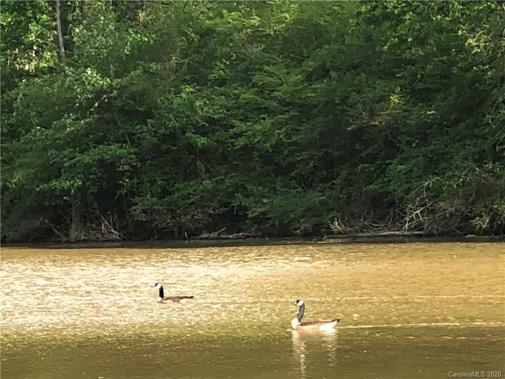 Mooreland Wood - Land