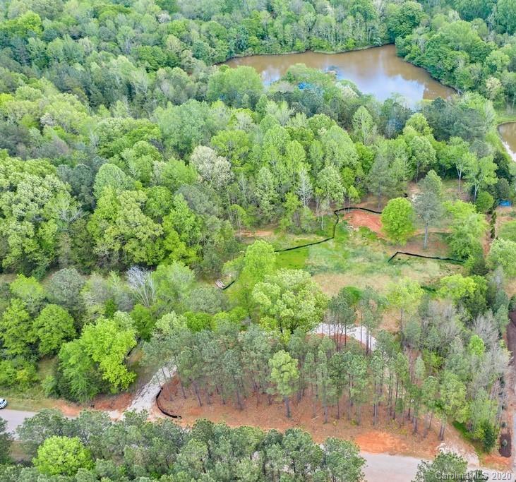 Mooreland Wood - Land