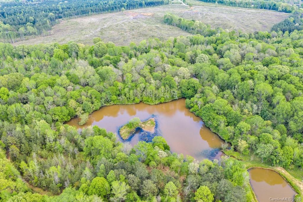 Mooreland Wood - Land