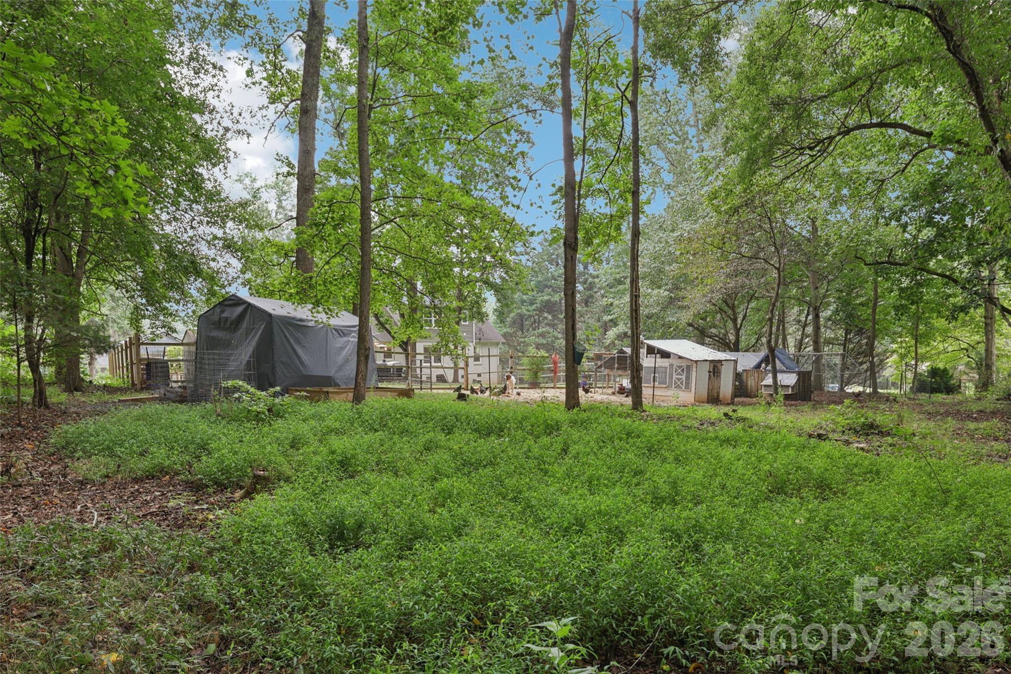 Pine Haven - Residential