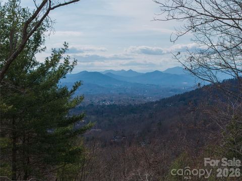 Photo of 000 Rambling Ridge Road #16, Asheville, NC 28804 (MLS # 4352633)