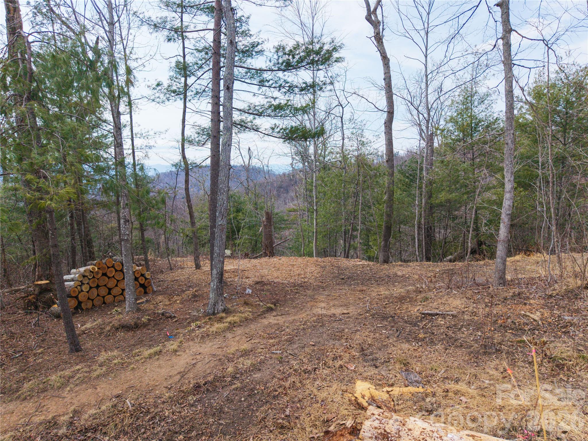 000 Rambling Ridge Road 16