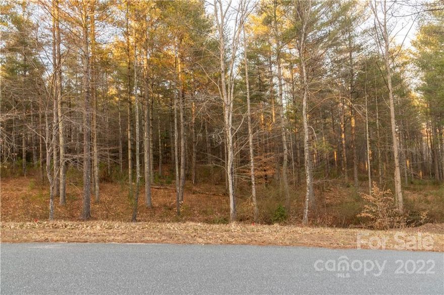 Build your permanent dream home or weekend retreat on this interior lot in Waterside on Lake Rhodhiss! This 1.18-acre interior lot within the gated community (electric gate with code) is on a quiet dead-end road, and is just a short distance from the community park and community boat dock. It has a slight slope, but is about as level as you will find around the lake. Minimum build square footage is just 1,400. Community boat slips for property owners are available at just $500 per year. Golf carts and UTVs (muffled appropriately) are allowed within the neighborhood, and the development features include underground utilities, city water, city sewer, community outdoor firepit, gazebo, and grill. Don't miss out on this opportunity!