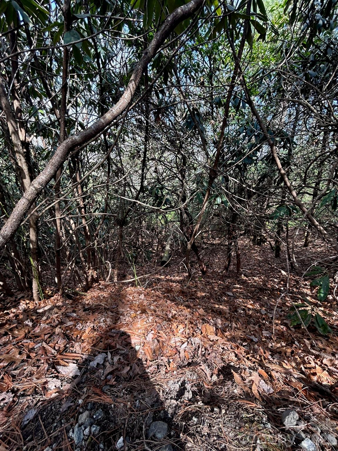 High Peak Lake Estates - Land