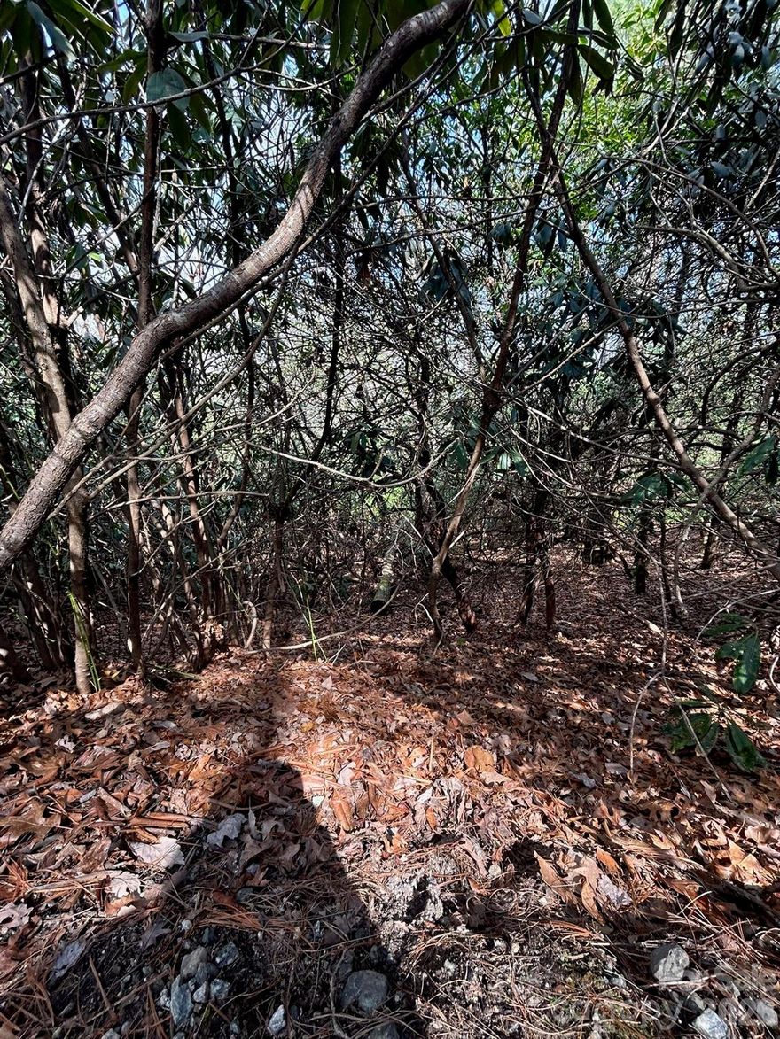 High Peak Lake Estate offers an unparalleled opportunity to build your dream home in Henderson County. With no minimum build requirements and a relaxed HOA, you have the freedom to design a residence that truly reflects your vision – modular and mobile homes are warmly welcomed. Conveniently located just minutes from US 64, these parcels provide easy access to both Hendersonville and Brevard, placing you at the heart of Western North Carolina's charm. Imagine a leisurely bike ride to the scenic Ecusta Trail, all within reach of your new property. Don't let this chance slip away to own affordable land in a highly sought-after location. Hendersonville and Brevard. Don’t miss this chance to get these affordable lots in a desirable location.