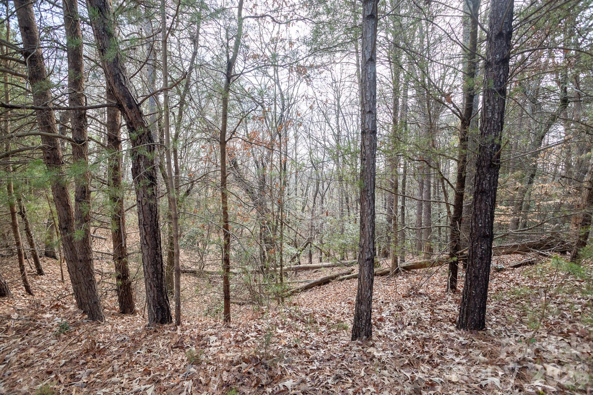 4012 Beechwood Spring Lane