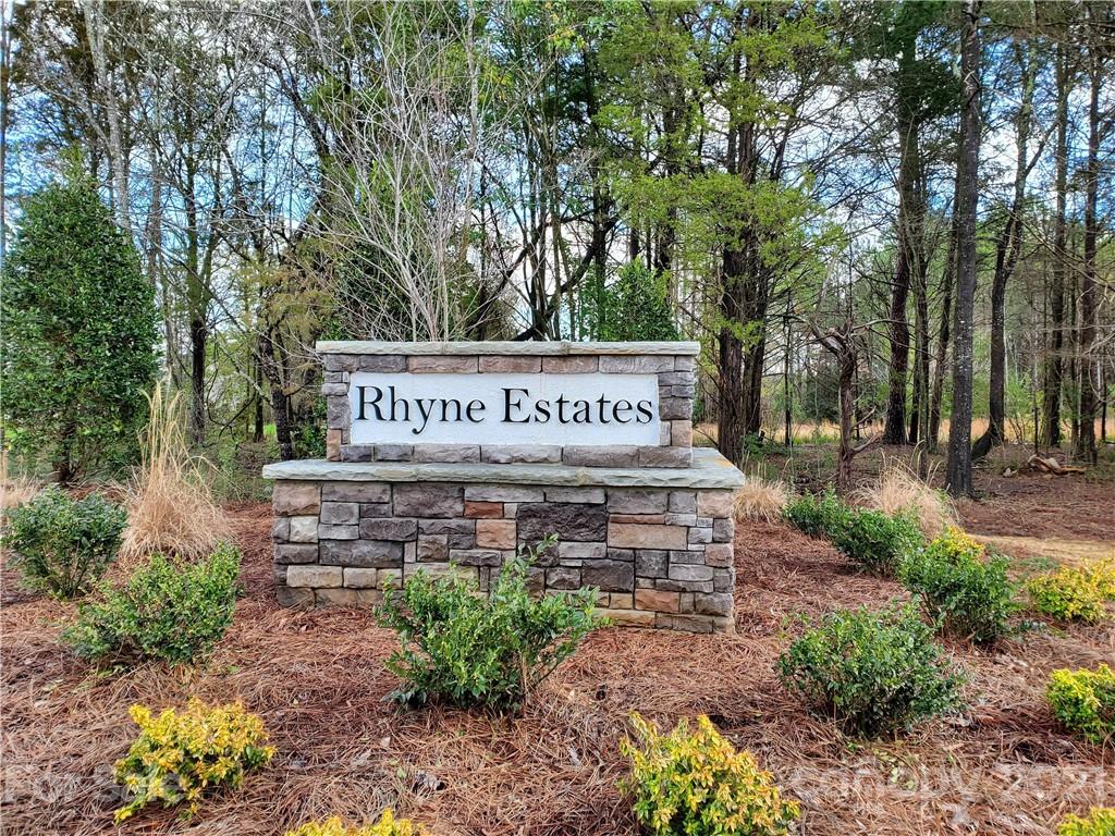 Rhyne Estates - Residential