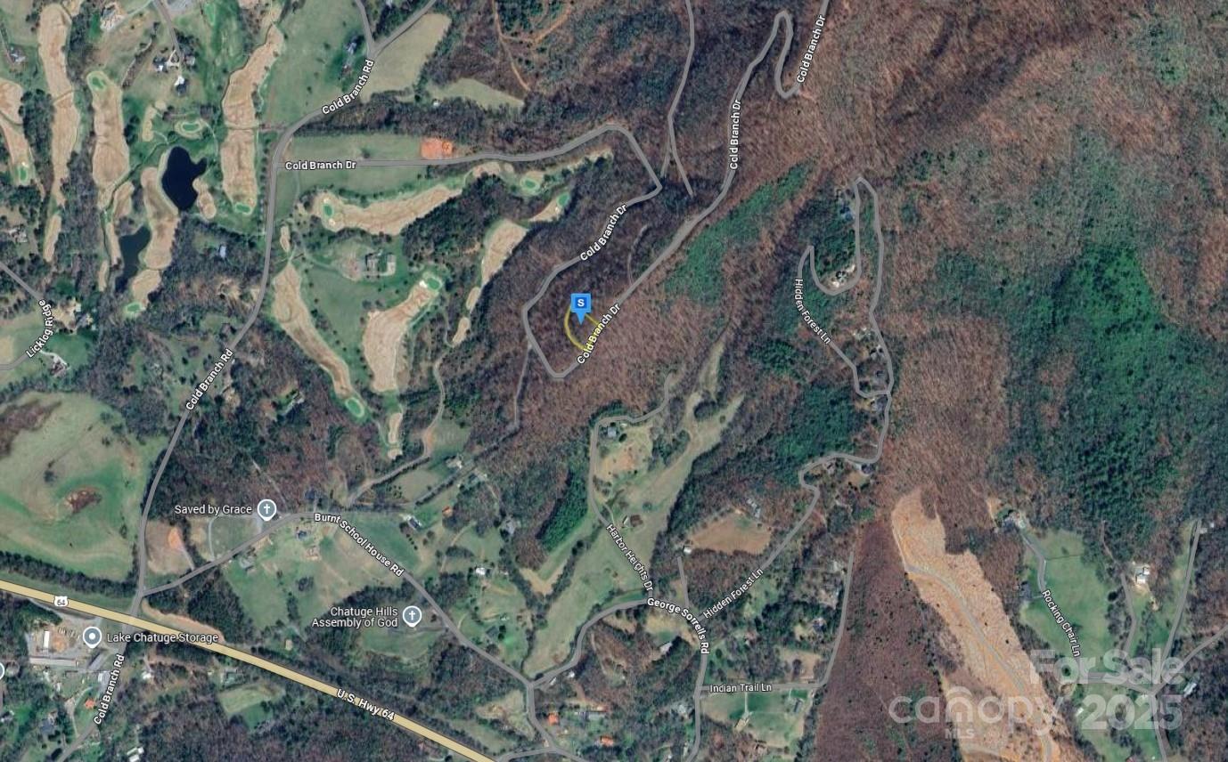 1225 Cold Branch Drive