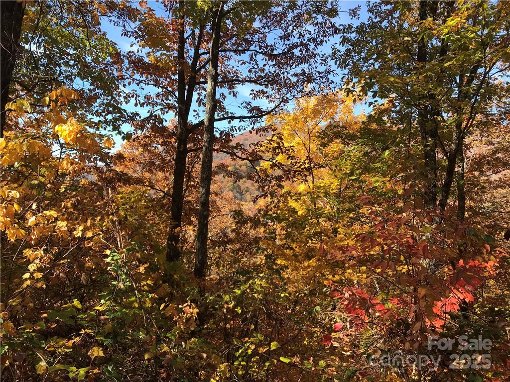 Sleepy Hollow - Land