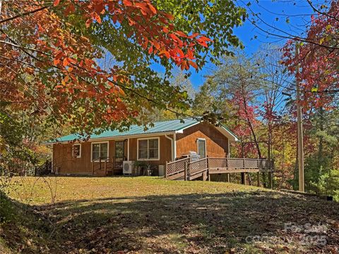 Photo of 1622 Meadow Fork Road, Hot Springs, NC 28743 (MLS # 4313783)