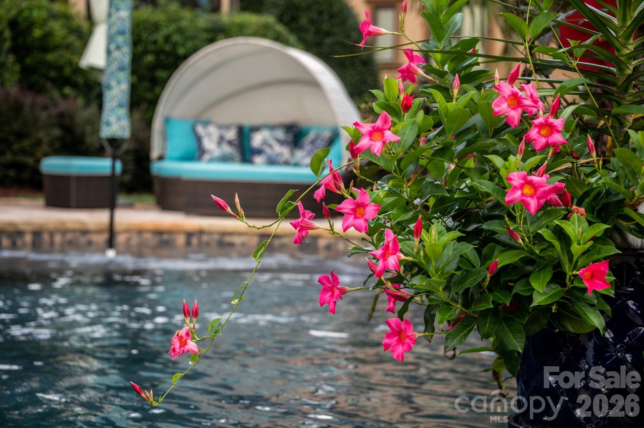 Skyecroft - Residential