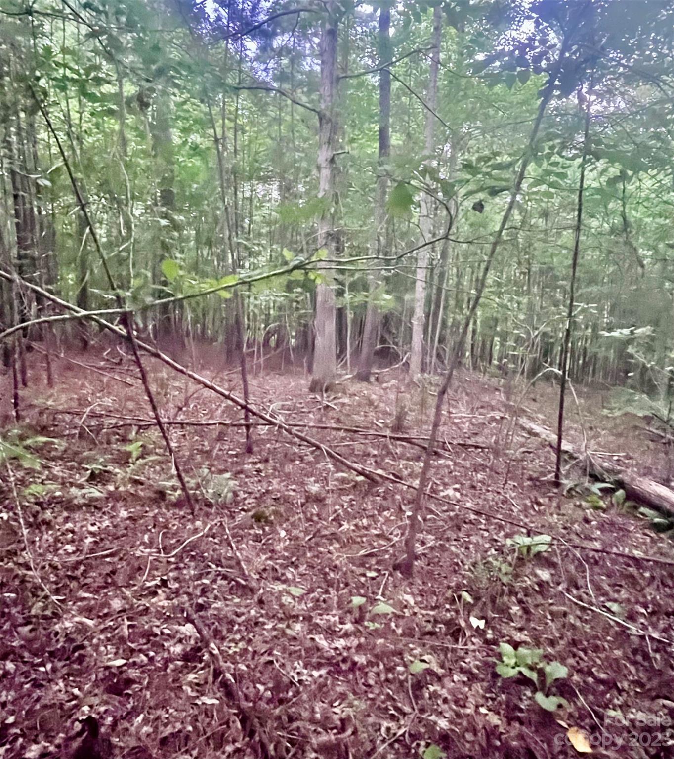 Clearwater Creek - Land