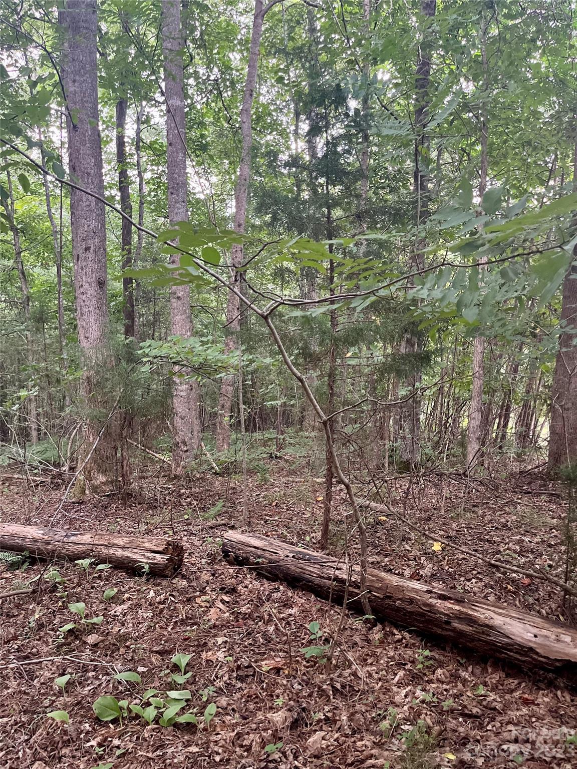 Clearwater Creek - Land