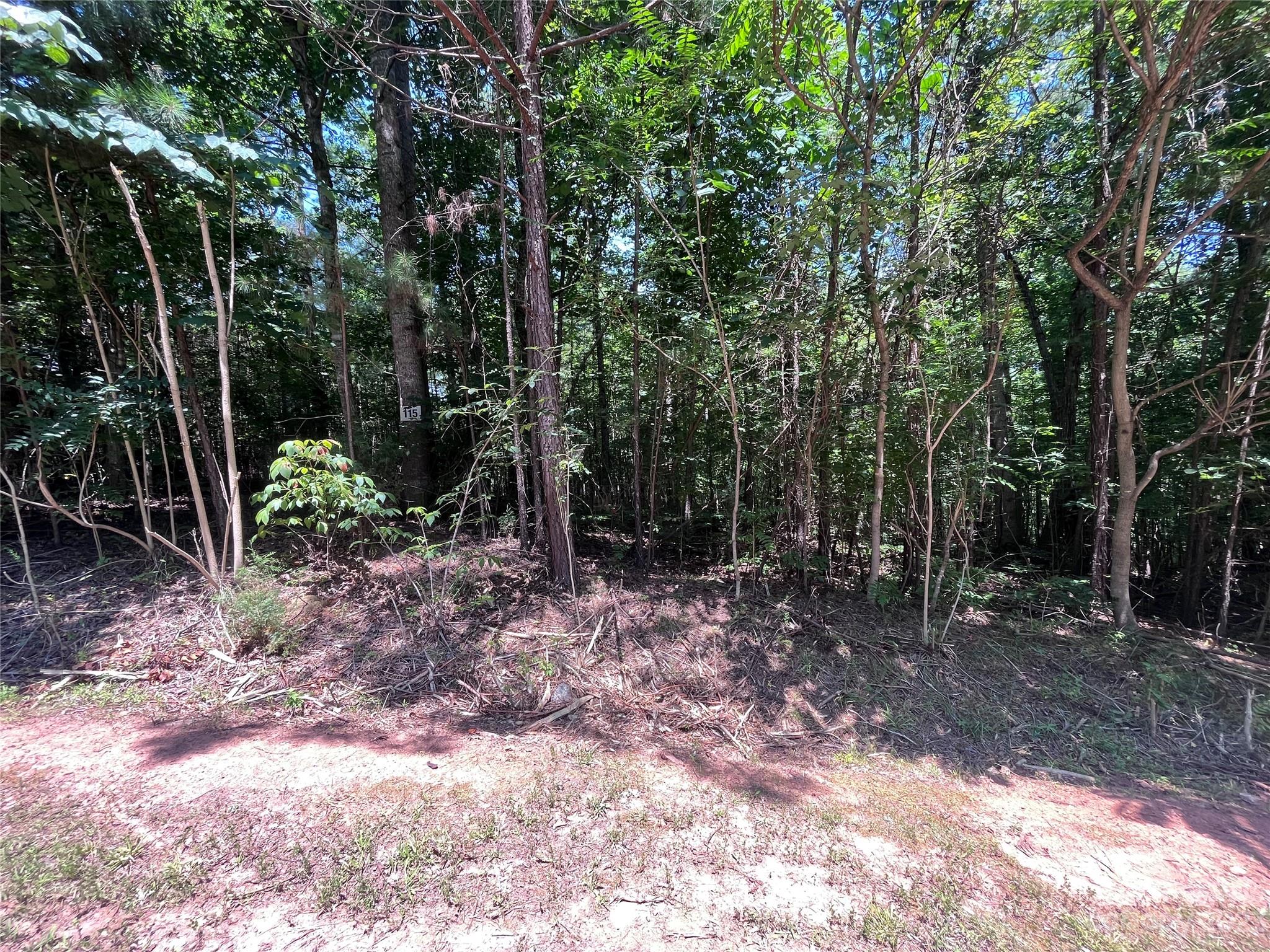 Clearwater Creek - Land