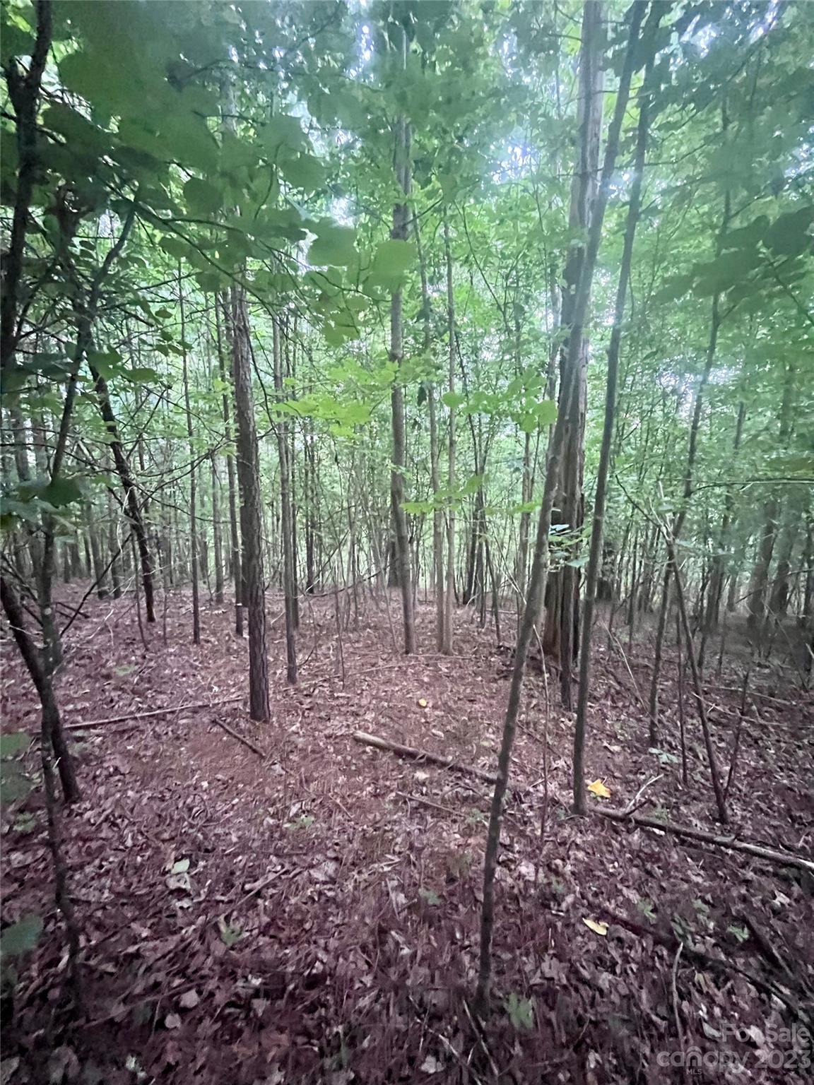 Clearwater Creek - Land